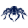 Cleveland Spiders